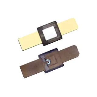 Skyworks Solutions DSM8100-000